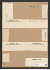 Surirella tenera Greg. (de-Toni-Nr.: Genus 53, Species 2235) Zeichnungen Sammlung Grunow Nr. 4654 (NHMW-BOT-W0372717)